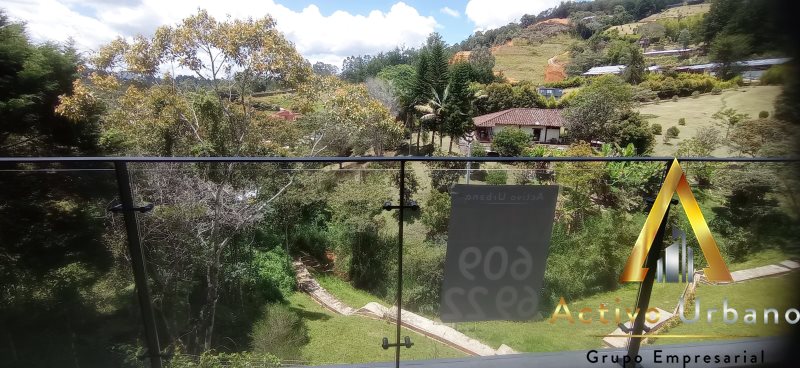 foto_104782_901271444_5119713772_ss