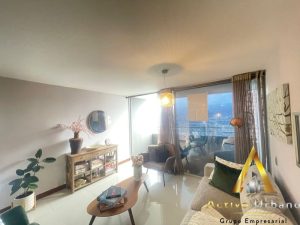 foto_104782_901271444_5904141408_ss