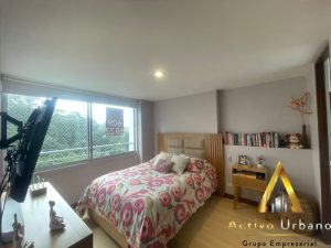 foto_104782_901271444_5976302378_ss