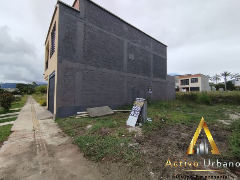 foto_104782_901271444_6153280837_ss