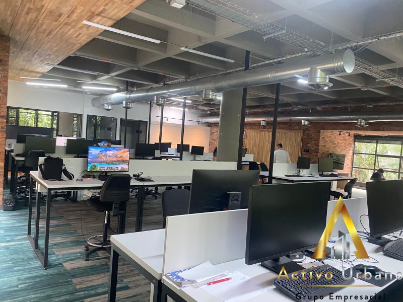 foto_104782_901271444_6156026262_ss