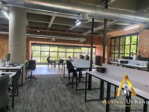 foto_104782_901271444_6170996472_ss