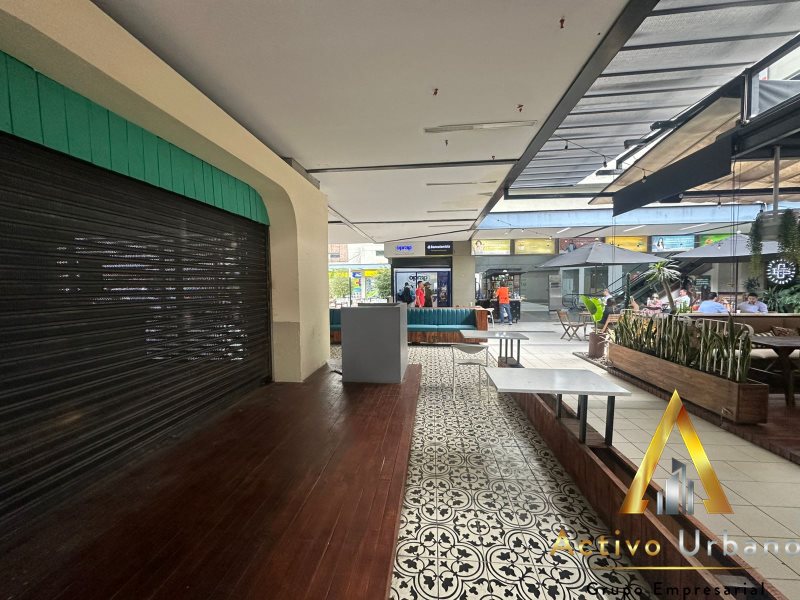 foto_104782_901271444_7104896068_ss