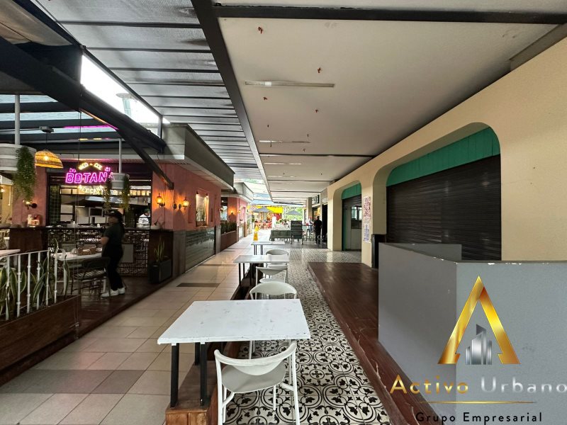 foto_104782_901271444_7136474484_ss