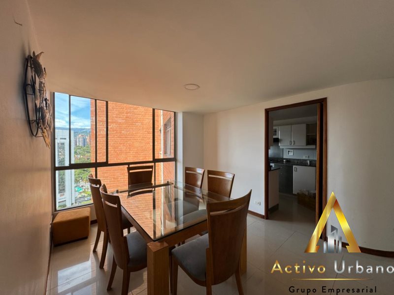 foto_104782_901271444_7650749604_ss