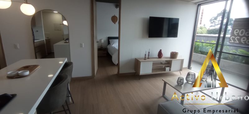 foto_104782_901271444_7683324511_ss