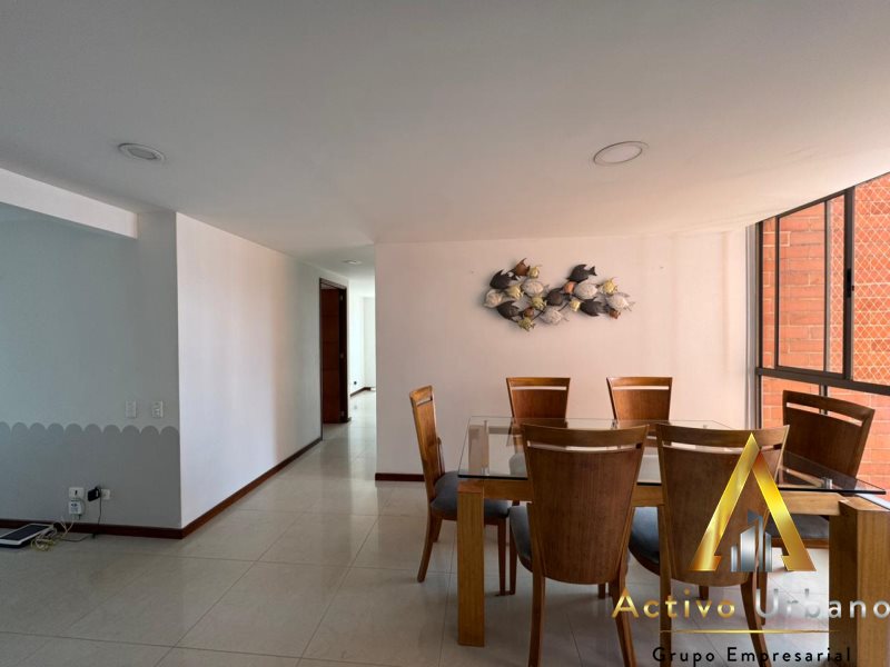 foto_104782_901271444_7686303380_ss