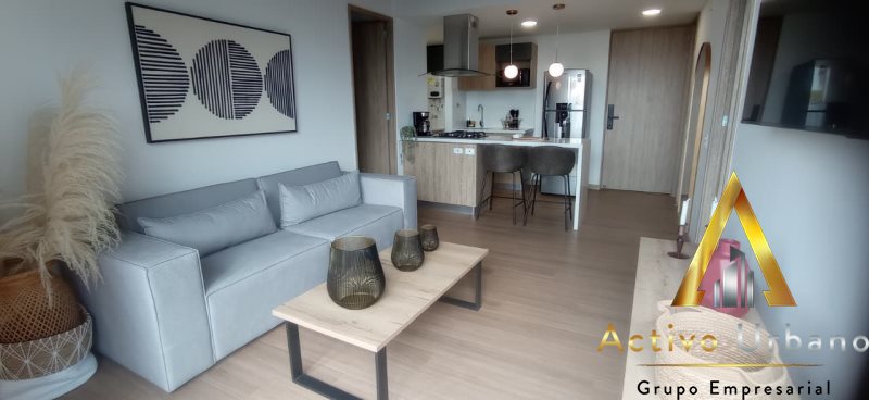 foto_104782_901271444_7689602239_ss