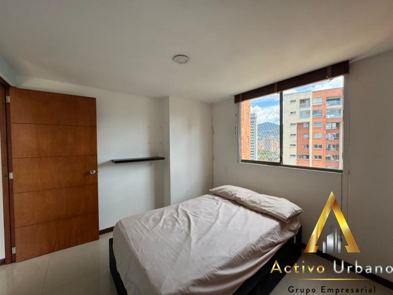 foto_104782_901271444_7723569269_ss