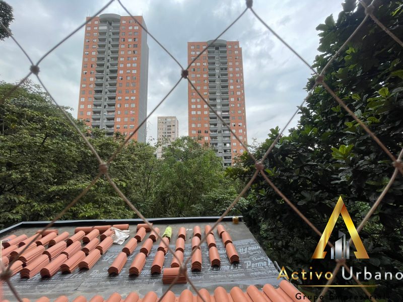 foto_104782_901271444_8316248634_ss