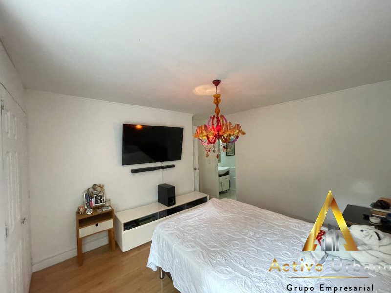 foto_104782_901271444_8360805551_ss