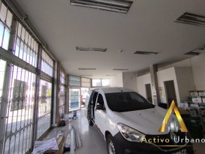 foto_104782_901271444_9274334053_ss