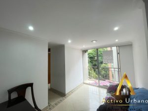 foto_104782_901271444_9479207752_ss